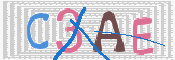 Image Anti-spam