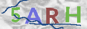 Image Anti-spam